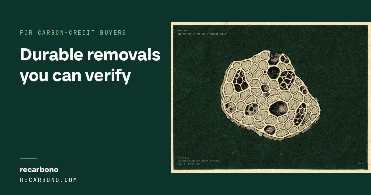 Biochar, close up — the material behind a durable carbon removal.